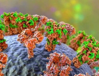 Advancements in Protein lipidation Research